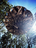 Installation: Unfolded Discoballs  - Image 2